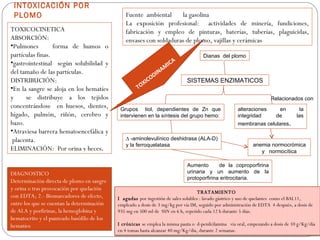INTOXICACIÓN POR
 PLOMO                                         Fuente ambiental     la gasolina
                                               La exposición profesional: actividades de minería, fundiciones,
TOXICOCINETICA                                 fabricación y empleo de pinturas, baterías, tuberías, plaguicidas,
ABSORCIÓN:                                     envases con soldaduras de plomo, vajillas y cerámicas
•Pulmones         forma de humos o
partículas finas.                                                                     Dianas del plomo
•gastrointestinal según solubilidad y                                ICA
                                                                  A M
del tamaño de las partículas.                               D   IN
DISTRIBUCIÓN:                                          X ICO                  SISTEMAS ENZIMATICOS
•En la sangre se aloja en los hematíes               TO
y     se distribuye a los tejidos                                                                                      Relacionados con
concentrándose en huesos, dientes,           Grupos tiol, dependientes de Zn que                       alteraciones       en          la
hígado, pulmón, riñón, cerebro y             intervienen en la síntesis del grupo hemo:                integridad        de         las
bazo.                                                                                                  membranas celulares.
•Atraviesa barrera hematoencefálica y
 placenta.                                     ∆ -aminolevulínico deshidrasa (ALA-D)
                                               y la ferroquelatasa                                            anemia normocrómica
ELIMINACIÓN: Por orina y heces.                                                                                  y normocítica

                                                                              Aumento       de la coproporfirina
DIAGNOSTICO                                                                   urinaria y un aumento de la
                                                                              protoporfirina eritrocitaria.
Determinación directa de plomo en sangre
y orina o tras provocación por quelación
                                                                                    TRATAMIENTO
con EDTA; 2.- Biomarcadores de efecto,      I agudas por ingestión de sales solubles : lavado gástrico y uso de quelantes como el BAL11,
entre los que se cuentan la determinación   empleado a dosis de 3 mg/kg por vía IM, seguido por administración de EDTA 4 después, a dosis de
de ALA y porfirinas, la hemoglobina y       935 mg en 500 ml de SSN en 6 h, repetido cada 12 h durante 5 días.
hematocrito y el punteado basófilo de los
hematíes                                    I crónicas se emplea la misma pauta o d-penilcilamina vía oral, empezando a dosis de 10 g/Kg/día
                                            en 4 tomas hasta alcanzar 40 mg/Kg/día, durante 2 semanas.
 