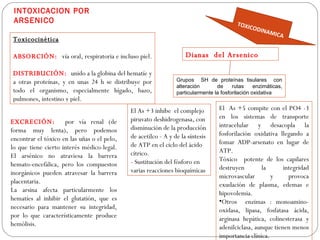INTOXICACION POR
 ARSENICO                                                                                 TOXI
                                                                                              C  ODIN
                                                                                                        AMIC
                                                                                                               A
Toxicocinética

ABSORCIÓN: vía oral, respiratoria e incluso piel.                   Dianas del Arsenico

DISTRIBUCIÓN: unido a la globina del hematíe y
a otras proteínas, y en unas 24 h se distribuye por             Grupos SH de proteínas tisulares con
                                                                alteración       de     rutas     enzimáticas,
todo el organismo, especialmente hígado, bazo,                  particularmente la fosforilación oxidativa
pulmones, intestino y piel.
                                             El As +3 inhibe el complejo          El As +5 compite con el PO4 -3
                                             piruvato deshidrogenasa, con         en los sistemas de transporte
EXCRECIÓN:           por vía renal (de                                            intracelular y desacopla la
forma muy lenta), pero podemos               disminución de la producción
                                             de acetilco - A y de la síntesis     fosforilación oxidativa llegando a
encontrar el tóxico en las uñas o el pelo,                                        fomar ADP-arsenato en lugar de
lo que tiene cierto interés médico-legal.    de ATP en el ciclo del ácido
                                             cítrico.                             ATP.
El arsénico no atraviesa la barrera                                               Tóxico potente de los capilares
hemato-encefálica, pero los compuestos       - Sustitución del fósforo en
                                             varias reacciones bioquímicas        destruyen        la       integridad
inorgánicos pueden atravesar la barrera                                           microvascular        y      provoca
placentaria.                                                                      exudación de plasma, edemas e
La arsina afecta particularmente los                                              hipovolemia.
hematíes al inhibir el glutatión, que es                                          •Otros enzimas : monoamino-
necesario para mantener su integridad,                                            oxidasa, lipasa, fosfatasa ácida,
por lo que característicamente produce                                            arginasa hepática, colinesterasa y
hemólisis.                                                                        adenilciclasa, aunque tienen menos
                                                                                  importancia clínica.
 