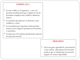 CADMIO (Cd )

 Es muy estable en el organismo. se une a la
   proteína metalotioneina que es ligante de metal
   formando complejos muy estables u altamente
   tóxicos.
 Se acumula especialmente en alimentos como
   mejillones y ostras.
 La acumulación por ingestión crónica produce
   lesiones en los órganos reproductores femeninos
   y masculinos.
 Se almacena en los riñones produciendo aumento
   de la presión arterial.

                                                                    MERCURIO

                                                      Tiene una gran capacidad de concentración
                                                         en las cadenas alimentarias de los medios
                                                        acuáticos que se transforman en mercurio
                                                        orgánico de carácter liposoluble.
 