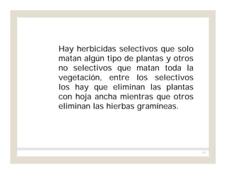 167
Hay herbicidas selectivos que solo
matan algún tipo de plantas y otros
no selectivos que matan toda la
vegetación, entre los selectivos
los hay que eliminan las plantas
con hoja ancha mientras que otros
eliminan las hierbas gramíneas.
 