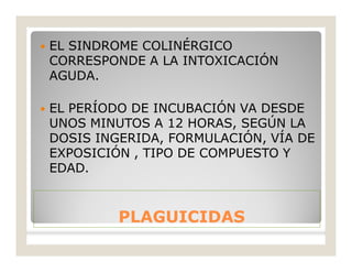 PLAGUICIDASPLAGUICIDAS
 EL SINDROME COLINÉRGICO
CORRESPONDE A LA INTOXICACIÓN
AGUDA.
 EL PERÍODO DE INCUBACIÓN VA DESDE
UNOS MINUTOS A 12 HORAS, SEGÚN LA
DOSIS INGERIDA, FORMULACIÓN, VÍA DE
EXPOSICIÓN , TIPO DE COMPUESTO Y
EDAD.
 