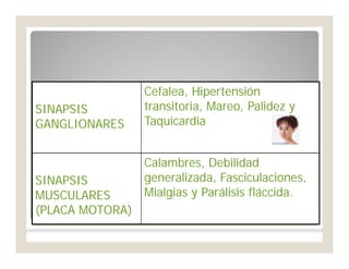 SIGNOS NICOTÍNICOSSIGNOS NICOTÍNICOS
SINAPSISSINAPSIS
GANGLIONARESGANGLIONARES
Cefalea, HipertensiónCefalea, Hipertensión
transitoria, Mareo, Palidez ytransitoria, Mareo, Palidez y
TaquicardiaTaquicardia
SINAPSISSINAPSIS
MUSCULARESMUSCULARES
(PLACA MOTORA)(PLACA MOTORA)
Calambres, DebilidadCalambres, Debilidad
generalizada, Fasciculaciones,generalizada, Fasciculaciones,
Mialgias y Parálisis fláccida.Mialgias y Parálisis fláccida.
 