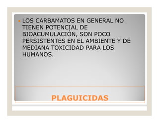 PLAGUICIDASPLAGUICIDAS
 LOS CARBAMATOS EN GENERAL NO
TIENEN POTENCIAL DE
BIOACUMULACIÓN, SON POCO
PERSISTENTES EN EL AMBIENTE Y DE
MEDIANA TOXICIDAD PARA LOS
HUMANOS.
 
