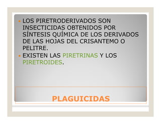 PLAGUICIDASPLAGUICIDAS
 LOS PIRETRODERIVADOS SON
INSECTICIDAS OBTENIDOS POR
SÍNTESIS QUÍMICA DE LOS DERIVADOS
DE LAS HOJAS DEL CRISANTEMO O
PELITRE.
 EXISTEN LAS PIRETRINAS Y LOS
PIRETROIDES.
 