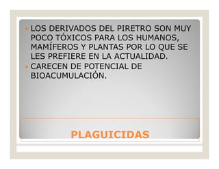 PLAGUICIDASPLAGUICIDAS
 LOS DERIVADOS DEL PIRETRO SON MUY
POCO TÓXICOS PARA LOS HUMANOS,
MAMÍFEROS Y PLANTAS POR LO QUE SE
LES PREFIERE EN LA ACTUALIDAD.
 CARECEN DE POTENCIAL DE
BIOACUMULACIÓN.
 