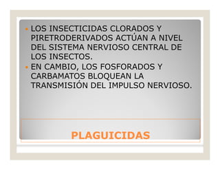 PLAGUICIDASPLAGUICIDAS
 LOS INSECTICIDAS CLORADOS Y
PIRETRODERIVADOS ACTÚAN A NIVEL
DEL SISTEMA NERVIOSO CENTRAL DE
LOS INSECTOS.
 EN CAMBIO, LOS FOSFORADOS Y
CARBAMATOS BLOQUEAN LA
TRANSMISIÓN DEL IMPULSO NERVIOSO.
 