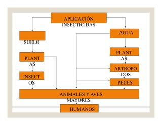 APLICACIÓN
INSECTICIDAS
SUELO
PLANT
AS
INSECT
OS
AGUA
PLANT
AS
ARTRÓPO
DOS
PECES
ANIMALES Y AVES
MAYORES
HUMANOS
 