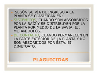 PLAGUICIDASPLAGUICIDAS
 SEGÚN SU VÍA DE INGRESO A LA
PLANTA SE CLASIFICAN EN:
 SISTÉMICOS, CUANDO SON ABSORBIDOS
POR LA RAÍZ Y SE DISTRIBUYEN POR LA
PLANTA POR MEDIO DE LA SAVIA. EJ:
METAMIDOFÓS.
 DE CONTACTO, CUANDO PERMANECEN EN
LA PARTE EXTERIOR DE LA PLANTA Y NO
SON ABSORBIDOS POR ÉSTA. EJ:
DIMETOATO.
 