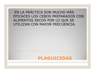 PLAGUICIDASPLAGUICIDAS
 EN LA PRÁCTICA SON MUCHO MÁS
EFICACES LOS CEBOS PREPARADOS CON
ALIMENTOS SECOS POR LO QUE SE
UTILIZAN CON MAYOR FRECUENCIA.
 