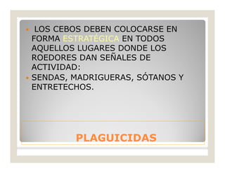 PLAGUICIDASPLAGUICIDAS
 LOS CEBOS DEBEN COLOCARSE EN
FORMA ESTRATÉGICA EN TODOS
AQUELLOS LUGARES DONDE LOS
ROEDORES DAN SEÑALES DE
ACTIVIDAD:
 SENDAS, MADRIGUERAS, SÓTANOS Y
ENTRETECHOS.
 