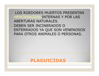 PLAGUICIDASPLAGUICIDAS
 LOS ROEDORES MUERTOS PRESENTAN
HEMORRAGIAS INTERNAS Y POR LAS
ABERTURAS NATURALES.
 DEBEN SER INCINERADOS O
ENTERRADOS YA QUE SON VENENOSOS
PARA OTROS ANIMALES O PERSONAS.
 