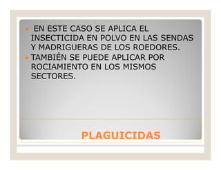 PLAGUICIDASPLAGUICIDAS
 EN ESTE CASO SE APLICA EL
INSECTICIDA EN POLVO EN LAS SENDAS
Y MADRIGUERAS DE LOS ROEDORES.
 TAMBIÉN SE PUEDE APLICAR POR
ROCIAMIENTO EN LOS MISMOS
SECTORES.
 