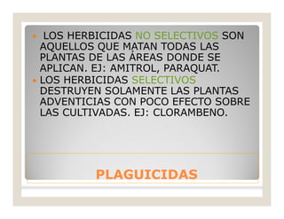 PLAGUICIDASPLAGUICIDAS
 LOS HERBICIDAS NO SELECTIVOS SON
AQUELLOS QUE MATAN TODAS LAS
PLANTAS DE LAS ÁREAS DONDE SE
APLICAN. EJ: AMITROL, PARAQUAT.
 LOS HERBICIDAS SELECTIVOS
DESTRUYEN SOLAMENTE LAS PLANTAS
ADVENTICIAS CON POCO EFECTO SOBRE
LAS CULTIVADAS. EJ: CLORAMBENO.
 