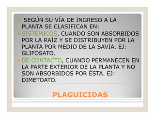 PLAGUICIDASPLAGUICIDAS
 SEGÚN SU VÍA DE INGRESO A LA
PLANTA SE CLASIFICAN EN:
 SISTÉMICOS, CUANDO SON ABSORBIDOS
POR LA RAÍZ Y SE DISTRIBUYEN POR LA
PLANTA POR MEDIO DE LA SAVIA. EJ:
GLIFOSATO.
 DE CONTACTO, CUANDO PERMANECEN EN
LA PARTE EXTERIOR DE LA PLANTA Y NO
SON ABSORBIDOS POR ÉSTA. EJ:
DIMETOATO.
 