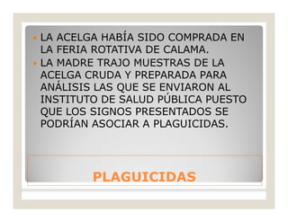 PLAGUICIDASPLAGUICIDAS
 LA ACELGA HABÍA SIDO COMPRADA EN
LA FERIA ROTATIVA DE CALAMA.
 LA MADRE TRAJO MUESTRAS DE LA
ACELGA CRUDA Y PREPARADA PARA
ANÁLISIS LAS QUE SE ENVIARON AL
INSTITUTO DE SALUD PÚBLICA PUESTO
QUE LOS SIGNOS PRESENTADOS SE
PODRÍAN ASOCIAR A PLAGUICIDAS.
 