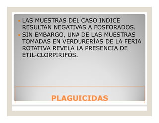 PLAGUICIDASPLAGUICIDAS
 LAS MUESTRAS DEL CASO INDICE
RESULTAN NEGATIVAS A FOSFORADOS.
 SIN EMBARGO, UNA DE LAS MUESTRAS
TOMADAS EN VERDURERÍAS DE LA FERIA
ROTATIVA REVELA LA PRESENCIA DE
ETIL-CLORPIRIFÓS.
 