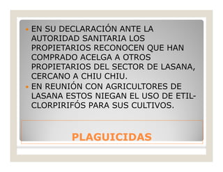 PLAGUICIDASPLAGUICIDAS
 EN SU DECLARACIÓN ANTE LA
AUTORIDAD SANITARIA LOS
PROPIETARIOS RECONOCEN QUE HAN
COMPRADO ACELGA A OTROS
PROPIETARIOS DEL SECTOR DE LASANA,
CERCANO A CHIU CHIU.
 EN REUNIÓN CON AGRICULTORES DE
LASANA ESTOS NIEGAN EL USO DE ETIL-
CLORPIRIFÓS PARA SUS CULTIVOS.
 