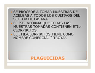 PLAGUICIDASPLAGUICIDAS
 SE PROCEDE A TOMAR MUESTRAS DE
ACELGAS A TODOS LOS CULTIVOS DEL
SECTOR DE LASANA.
 EL ISP INFORMA QUE TODAS LAS
MUESTRAS TOMADAS CONTIENEN ETIL-
CLORPIRIFÓS.
 EL ETIL-CLORPIRIFÓS TIENE COMO
NOMBRE COMERCIAL “ TROYA”.
 