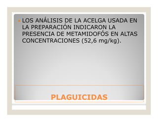 PLAGUICIDASPLAGUICIDAS
 LOS ANÁLISIS DE LA ACELGA USADA EN
LA PREPARACIÓN INDICARON LA
PRESENCIA DE METAMIDOFÓS EN ALTAS
CONCENTRACIONES (52,6 mg/kg).
 
