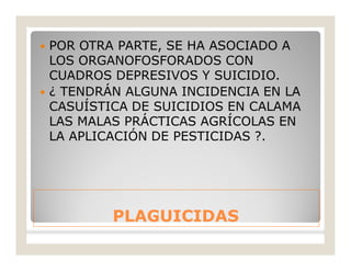 PLAGUICIDASPLAGUICIDAS
 POR OTRA PARTE, SE HA ASOCIADO A
LOS ORGANOFOSFORADOS CON
CUADROS DEPRESIVOS Y SUICIDIO.
 ¿ TENDRÁN ALGUNA INCIDENCIA EN LA
CASUÍSTICA DE SUICIDIOS EN CALAMA
LAS MALAS PRÁCTICAS AGRÍCOLAS EN
LA APLICACIÓN DE PESTICIDAS ?.
 