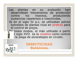 Las plantas en su evolución han
desarrollado mecanismos de protección
contra los insectos, produciendo
sustancias repelentes e insecticidas.
Ya en el siglo IV a.c. se utilizaban polvos
extraídos de plantas ricos en piretros para
el control de piojos.
De todos modos, el más utilizado a partir
del siglo XVII es la nicotina como control
de la plaga de escarabajos en ciruelo.
INSECTICIDASINSECTICIDAS
Botánicos.Botánicos.
 