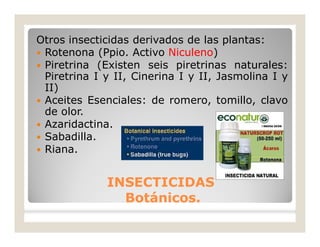 Otros insecticidas derivados de las plantas:
 Rotenona (Ppio. Activo Niculeno)
 Piretrina (Existen seis piretrinas naturales:
Piretrina I y II, Cinerina I y II, Jasmolina I y
II)
 Aceites Esenciales: de romero, tomillo, clavo
de olor.
 Azaridactina.
 Sabadilla.
 Riana.
INSECTICIDASINSECTICIDAS
Botánicos.Botánicos.
 