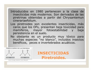 Introducidos en 1980 pertenecen a la clase de
insecticidas más modernos. Son derivados de las
piretrinas obtenidas a partir del Chrysantemun
cinerariaefolium.
Los piretroides son excelentes insecticidas, más
caros que los OFs, presentan baja toxicidad para
mamíferos, mayor fotoestabilidad y baja
persistencia en el suelo.
No obstante es un producto muy tóxico para
muchas especies “no blanco”, incluidos insectos
benéficos, peces e invertebrados acuáticos.
INSECTICIDASINSECTICIDAS
Piretroides.Piretroides.
 