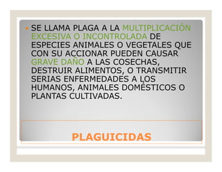 PLAGUICIDASPLAGUICIDAS
 SE LLAMA PLAGA A LA MULTIPLICACIÓN
EXCESIVA O INCONTROLADA DE
ESPECIES ANIMALES O VEGETALES QUE
CON SU ACCIONAR PUEDEN CAUSAR
GRAVE DAÑO A LAS COSECHAS,
DESTRUIR ALIMENTOS, O TRANSMITIR
SERIAS ENFERMEDADES A LOS
HUMANOS, ANIMALES DOMÉSTICOS O
PLANTAS CULTIVADAS.
 