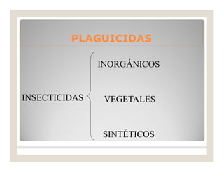 PLAGUICIDASPLAGUICIDAS
INSECTICIDAS
INORGÁNICOS
VEGETALES
SINTÉTICOS
 