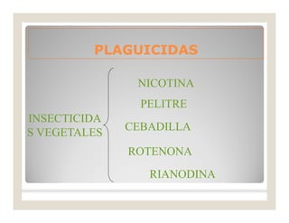 PLAGUICIDASPLAGUICIDAS
INSECTICIDA
S VEGETALES
NICOTINA
PELITRE
RIANODINA
ROTENONA
CEBADILLA
 