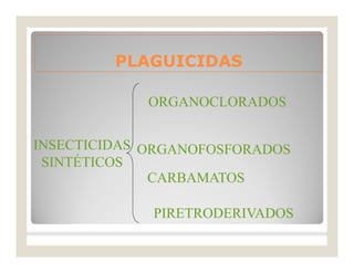 PLAGUICIDASPLAGUICIDAS
INSECTICIDAS
SINTÉTICOS
ORGANOCLORADOS
ORGANOFOSFORADOS
PIRETRODERIVADOS
CARBAMATOS
 