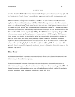 CHLORPYRIFOS                                                                                            51


                                                 2. HEALTH EFFECTS


induction of sex-linked lethals. Because of an increase in the frequency of induction of mosaic wing spots and
sex-linked recessive lethals, Durmet® was considered to be genotoxic to Drosophila somatic and germ cells.


Intermediate-duration oral exposure to chlorpyrifos (as Dursban®) has been shown to increase the incidence of
erythroblast chromosomal aberrations (Amer and Fahmy 1982). In that study, mice received rat chow containing
either 0, 80, or 240 ppm Dursban® for 24 hours, 7 days, 14 days, or 14 days with a 7-day recovery period. Doses of
1.39 or 4.18 mg/kg/day Dursban® were estimated from those concentrations. Dursban® at 4.18 mg/kg/day caused a
statistically significant increase in the percentage of polychromatic erythrocytes (PE) and PE with micronuclei after
24 hours (70 and 176% increases, respectively) and 7 days (25 and 257% increases, respectively) of exposure. PE
with micronuclei were also significantly increased at 14 days of treatment with 4.18 mg/kg/day (458% increase).
These increases were transient, and percentages of PE and PE with micronuclei were normal seven days after the
end of the dosing period. These results indicate that during exposure, chlorpyrifos increased the incidence of
erythroblast chromosomal aberrations. Similar transient increases in PE and PE with micronuclei were found after
mice were dose-fed 2.09 mg/kg/day Dursban® for 10 weeks (Amer and Fahmy 1982). No data were located for
genotoxic effects in animals following chronic-duration oral exposure to chlorpyrifos. Genotoxicity studies are also
discussed in Section 2.5.


2.2.2.8 Cancer


No information was located concerning carcinogenic effects of chlorpyrifos in humans following oral acute-,
intermediate-, or chronic-duration exposures.


No studies were located concerning carcinogenic effects of chlorpyrifos in animals following acute- or
intermediate-duration exposure. Chronic-duration exposure studies have shown no carcinogenicity. Male and
female Sherman rats and Beagle dogs exposed to up to 3 mg/kg/day chlorpyrifos in feed for l-2 years had no
increased incidence of tumors compared to controls (McCollister et al. 1974).
 