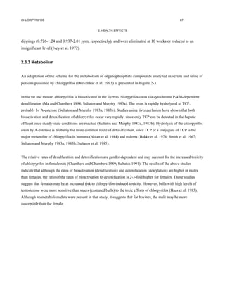 CHLORPYRIFOS                                                                                               67


                                                   2. HEALTH EFFECTS


dippings (0.726-1.24 and 0.937-2.01 ppm, respectively), and were eliminated at 10 weeks or reduced to an
insignificant level (Ivey et al. 1972).


2.3.3 Metabolism


An adaptation of the scheme for the metabolism of organophosphate compounds analyzed in serum and urine of
persons poisoned by chlorpyrifos (Drevenkar et al. 1993) is presented in Figure 2-3.


In the rat and mouse, chlorpyrifos is bioactivated in the liver to chlorpyrifos oxon via cytochrome P-450-dependent
desulfuration (Ma and Chambers 1994; Sultatos and Murphy 1983a). The oxon is rapidly hydrolyzed to TCP,
probably by A-esterase (Sultatos and Murphy 1983a, 1983b). Studies using liver perfusion have shown that both
bioactivation and detoxification of chlorpyrifos occur very rapidly, since only TCP can be detected in the hepatic
effluent once steady-state conditions are reached (Sultatos and Murphy 1983a, 1983b). Hydrolysis of the chlorpyrifos
oxon by A-esterase is probably the more common route of detoxification, since TCP or a conjugate of TCP is the
major metabolite of chlorpyrifos in humans (Nolan et al. 1984) and rodents (Bakke et al. 1976; Smith et al. 1967;
Sultatos and Murphy 1983a, 1983b; Sultatos et al. 1985).


The relative rates of desulfuration and detoxification are gender-dependent and may account for the increased toxicity
of chlorpyrifos in female rats (Chambers and Chambers 1989; Sultatos 1991). The results of the above studies
indicate that although the rates of bioactivation (desulfuration) and detoxification (dearylation) are higher in males
than females, the ratio of the rates of bioactivation to detoxification is 2-3-fold higher for females. Those studies
suggest that females may be at increased risk to chlorpyrifos-induced toxicity. However, bulls with high levels of
testosterone were more sensitive than steers (castrated bulls) to the toxic effects of chlorpyrifos (Haas et al. 1983).
Although no metabolism data were present in that study, it suggests that for bovines, the male may be more
susceptible than the female.
 