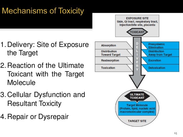 Assignment On Toxicology