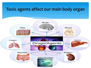Toxic agents affect our main body organ
 