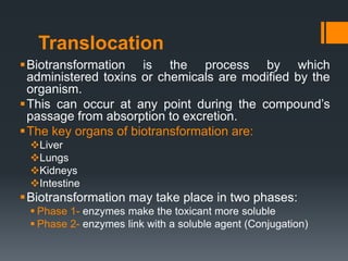 Translocation
Biotransformation is the process by which
administered toxins or chemicals are modified by the
organism.
This can occur at any point during the compound’s
passage from absorption to excretion.
The key organs of biotransformation are:
Liver
Lungs
Kidneys
Intestine
Biotransformation may take place in two phases:
 Phase 1- enzymes make the toxicant more soluble
 Phase 2- enzymes link with a soluble agent (Conjugation)
 