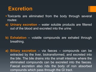 Excretion
Toxicants are eliminated from the body through several
routes:
a) Urinary excretion – water soluble products are filtered
out of the blood and excreted into the urine.
b) Exhalation – volatile compounds are exhaled through
breathing.
a) Biliary excretion – via faeces – compounds can be
extracted by the liver, biotransformed, and excreted into
the bile. The bile drains into the small intestine where the
eliminated compounds can be excreted into the faeces.
Faecal excretion also rids the body of non absorbed
compounds which pass through the GI tract.
 