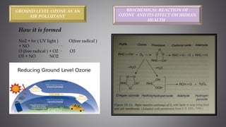 GROUND LEVEL OZONE AS AN
AIR POLLUTANT
How it is formed
No2 + hv ( UV light ) O(free radical )
+ NO
O (free radical ) + O2 O3
O3 + NO NO2
BIOCHEMICAL REACTION OF
OZONE AND ITS EFFECT OH HUMAN
HEALTH
 