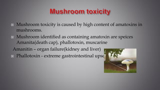  Mushroom toxicity is caused by high content of amatoxins in
mushrooms.
 Mushroom identified as containing amatoxin are speices
Amanita(death cap), phallotoxin, muscarine
Amanitin – organ failure(kidney and liver)
 Phallotoxin - extreme gastrointestinal upset
 