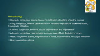 Histopathology
Stomach: congestion, edema, leucocytic infiltration, sloughing of gastric mucosa
Lung: congestion, edema, desquamation of respiratory epithelium, thickened alveoli,
lymphocytic infiltration
Kidneys: congestion, necrosis, tubular degeneration and regeneration
Adrenals: congestion, haemorrhage, necrosis, area of lipid depletion in cortex
Heart: congestion, edema, fragmentation of fibres, focal necrosis, leucocytic infiltration
Brain: congestion, edema
 