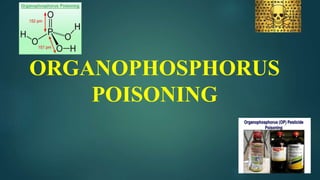 ORGANOPHOSPHORUS
POISONING
 