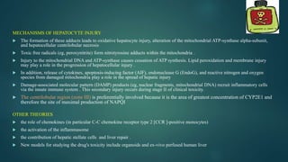 MECHANISMS OF HEPATOCYTE INJURY
 The formation of these adducts leads to oxidative hepatocyte injury, alteration of the mitochondrial ATP-synthase alpha-subunit,
and hepatocellular centrilobular necrosis
 Toxic free radicals (eg, peroxynitrite) form nitrotyrosine adducts within the mitochondria .
 Injury to the mitochondrial DNA and ATP-synthase causes cessation of ATP synthesis. Lipid peroxidation and membrane injury
may play a role in the progression of hepatocellular injury .
 In addition, release of cytokines, apoptosis-inducing factor (AIF), endonuclease G (EndoG), and reactive nitrogen and oxygen
species from damaged mitochondria play a role in the spread of hepatic injury
 Damage-associated molecular pattern (DAMP) products (eg, nuclear fragments, mitochondrial DNA) recruit inflammatory cells
via the innate immune system . This secondary injury occurs during stage II of clinical toxicity.
 The centrilobular region (zone III) is preferentially involved because it is the area of greatest concentration of CYP2E1 and
therefore the site of maximal production of NAPQI
OTHER THEORIES
 the role of chemokines (in particular C-C chemokine receptor type 2 [CCR ]-positive monocytes)
 the activation of the inflammasome
 the contribution of hepatic stellate cells and liver repair .
 New models for studying the drug's toxicity include organoids and ex-vivo perfused human liver
 