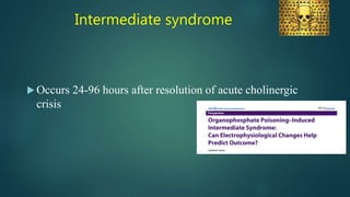 Intermediate syndrome
 Occurs 24-96 hours after resolution of acute cholinergic
crisis
 