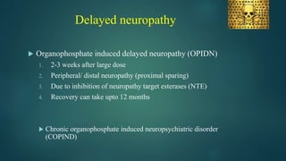 Delayed neuropathy
 Organophosphate induced delayed neuropathy (OPIDN)
1. 2-3 weeks after large dose
2. Peripheral/ distal neuropathy (proximal sparing)
3. Due to inhibition of neuropathy target esterases (NTE)
4. Recovery can take upto 12 months
 Chronic organophosphate induced neuropsychiatric disorder
(COPIND)
 