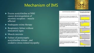 Mechanism of IMS
 Excess acetylcholine at NMJ
causes downregulation of
nicotinic receptors – muscle
affected
 Inadequate oxime therapy
 Respiratory failure without
muscaricin signs
 Muscle necrosis
 Failure of postsynaptic
acetylcholine release , and
oxidative stress-related myopathy
 