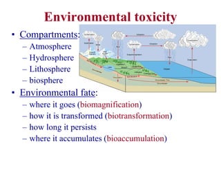 Environmental toxicity
• Compartments:
– Atmosphere
– Hydrosphere
– Lithosphere
– biosphere
• Environmental fate:
– where it goes (biomagnification)
– how it is transformed (biotransformation)
– how long it persists
– where it accumulates (bioaccumulation)
 