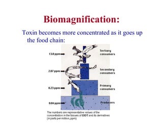 Biomagnification:
Toxin becomes more concentrated as it goes up
the food chain:
 