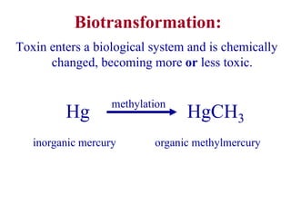 Biotransformation:
Toxin enters a biological system and is chemically
changed, becoming more or less toxic.
inorganic mercury organic methylmercury
Hg HgCH3
methylation
 