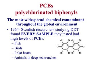 PCBs
polychlorinated biphenyls
The most widespread chemical contaminant
throughout the global environment.
• 1964- Swedish researchers studying DDT
found EVERY SAMPLE they tested had
high levels of PCBs:
– Fish
– Birds
– Polar bears
– Animals in deep sea trenches
 