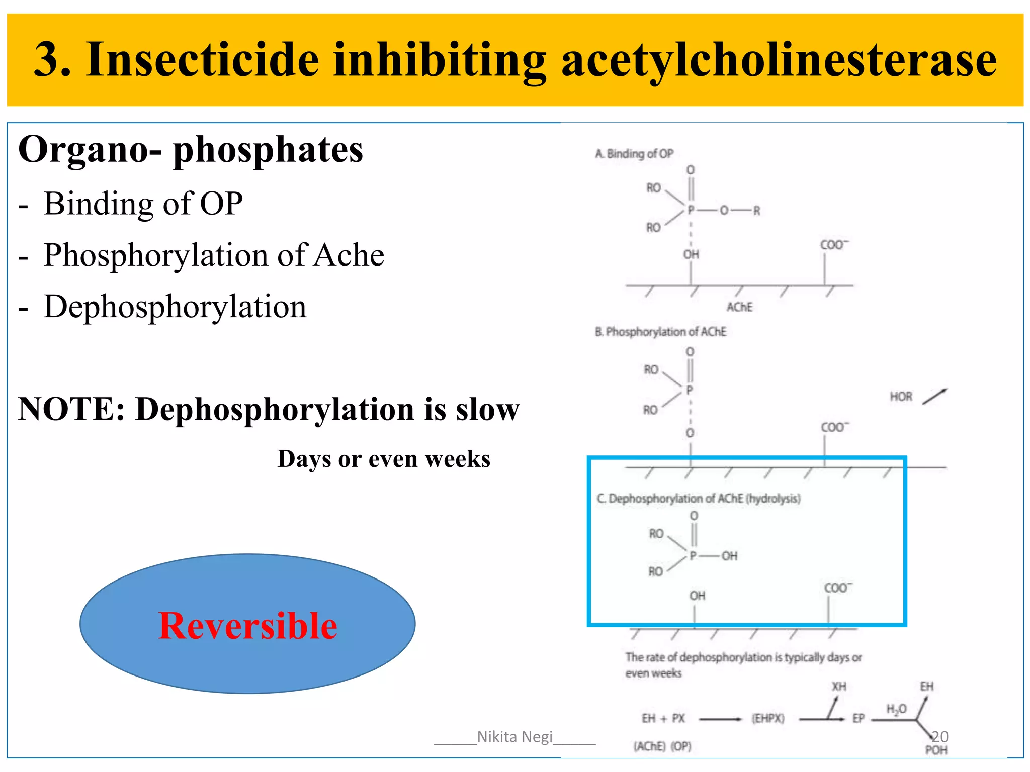 Biochemical and physiological target sites of insecticides on insect | PPTX